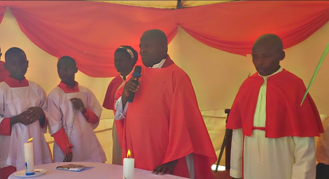 Palm sunday